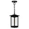 Cwi Lighting Oakwood 1 Light Outdoor Black Pendant 0422P7-1-101 - alternate 3
